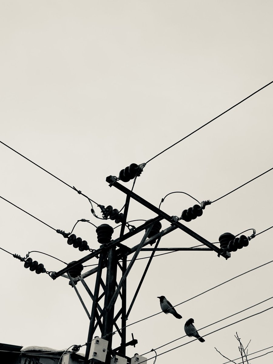 Nilüfer tweet media