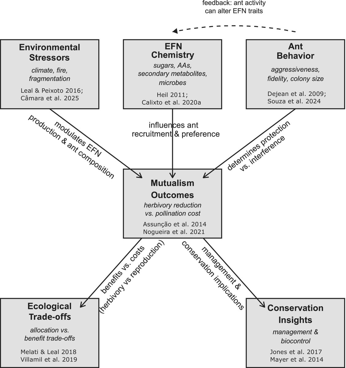 Ecological Entomology tweet media