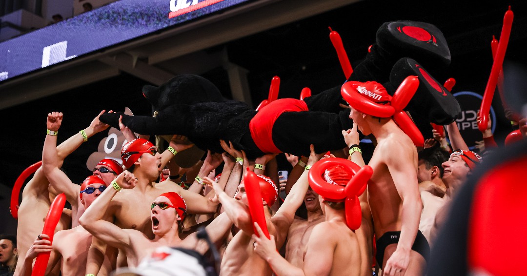 Cincinnati Swim-Dive tweet media