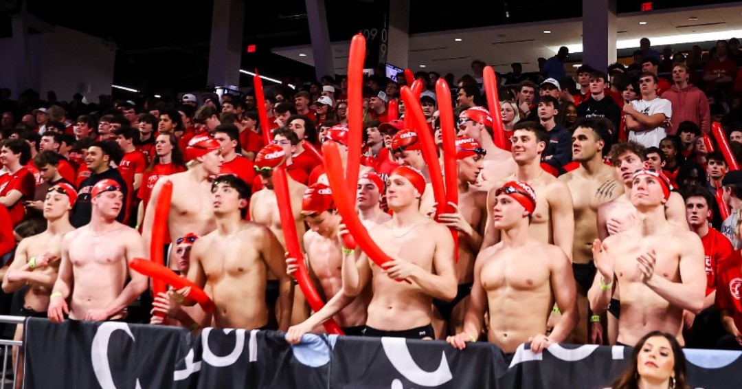 Cincinnati Swim-Dive tweet media