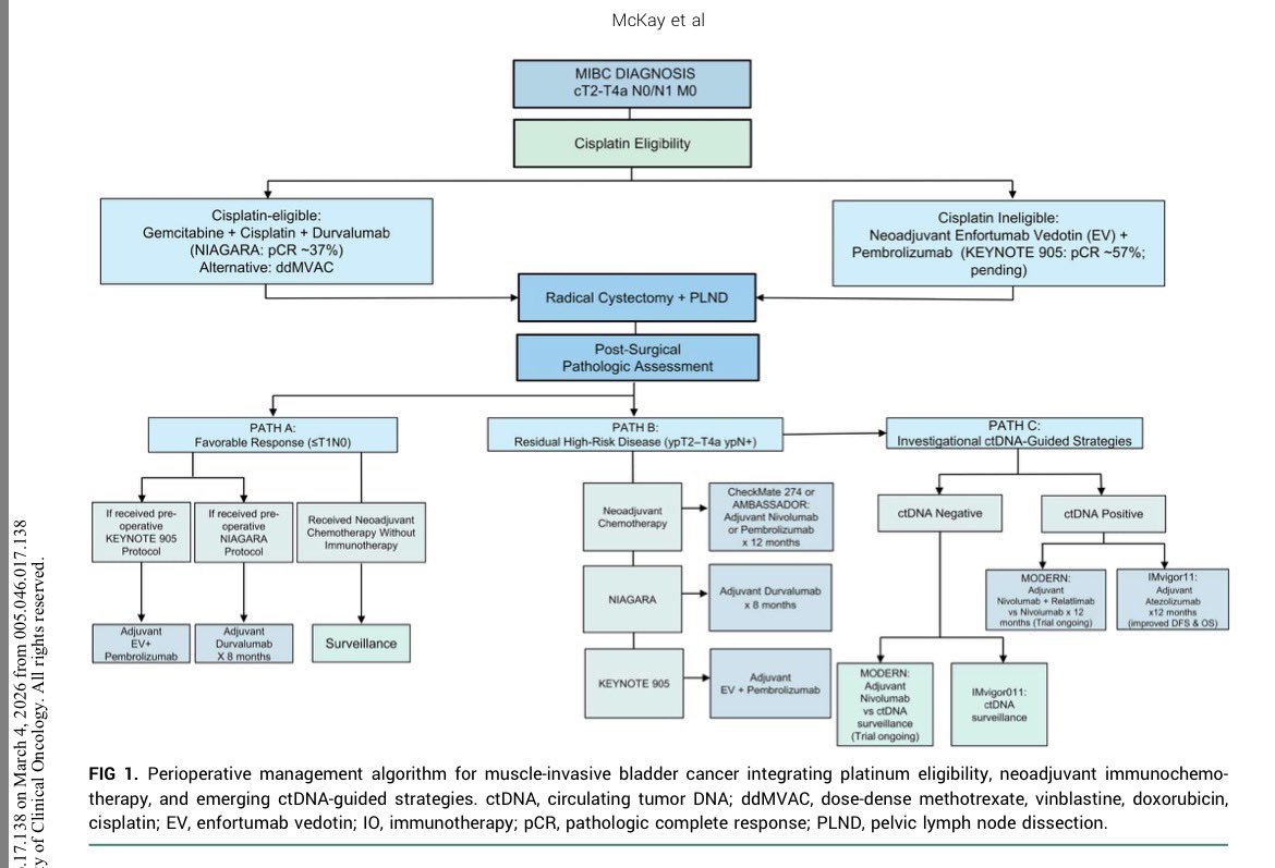 Erman Akkus tweet media