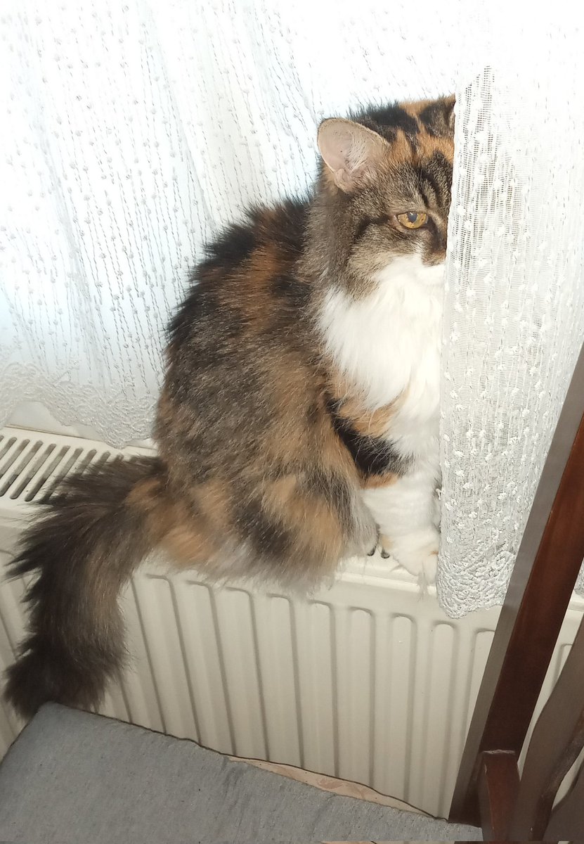 Ohh be içim ışındı annişim biy yeyden yanık kokuyoy neyden açaba