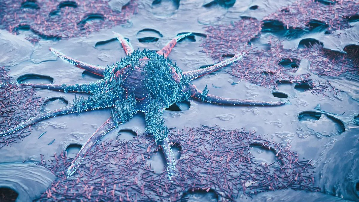 🚨: Cancer cells can now turn back to normal cells, thanks to South Korean scientists