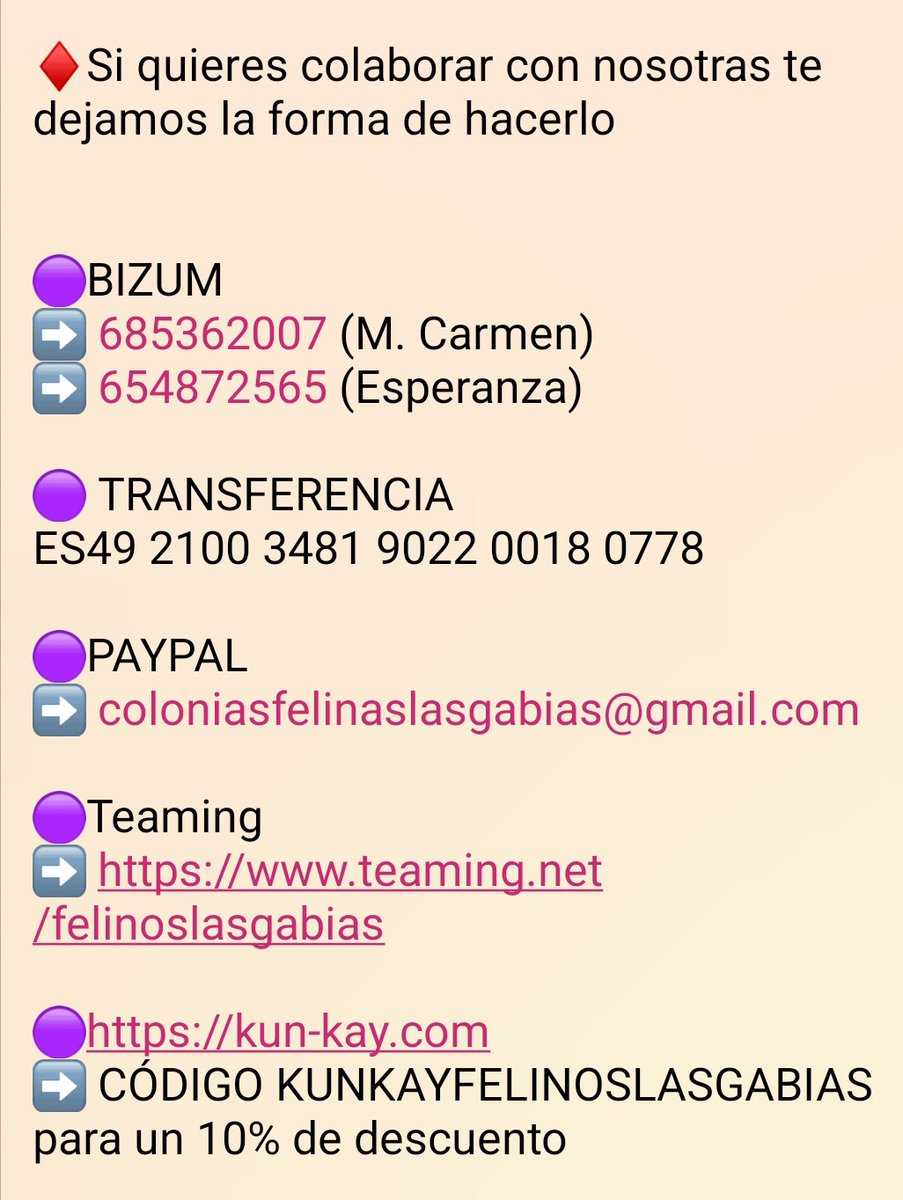 Felinos Las Gabias tweet media