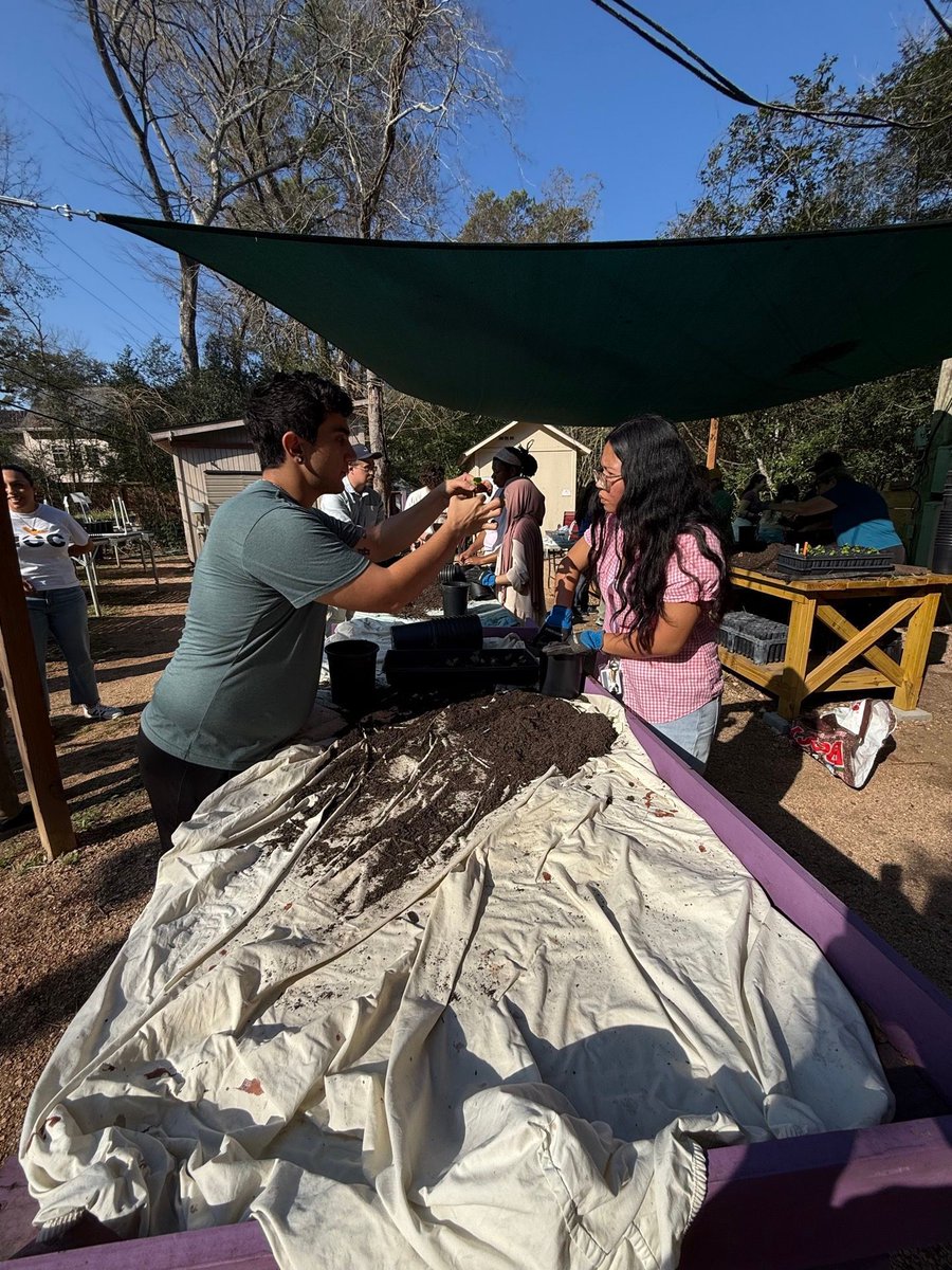 Alief Early College tweet media