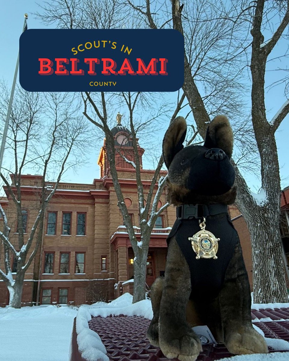 MN Sheriffs’ Association tweet media