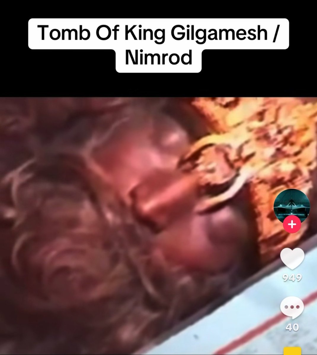 Ms Andrist tweet media