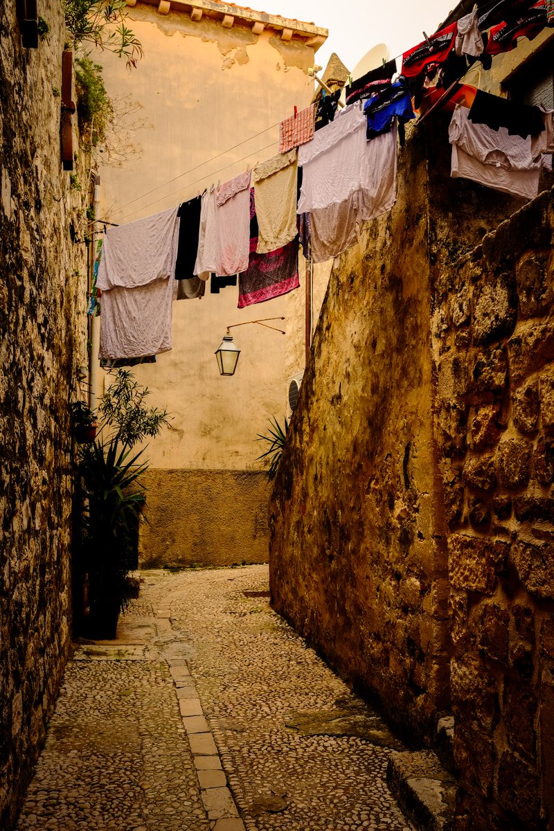 Alastair Hilton tweet media