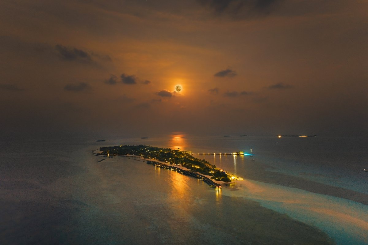 Kuredu Island Resort & Spa tweet media