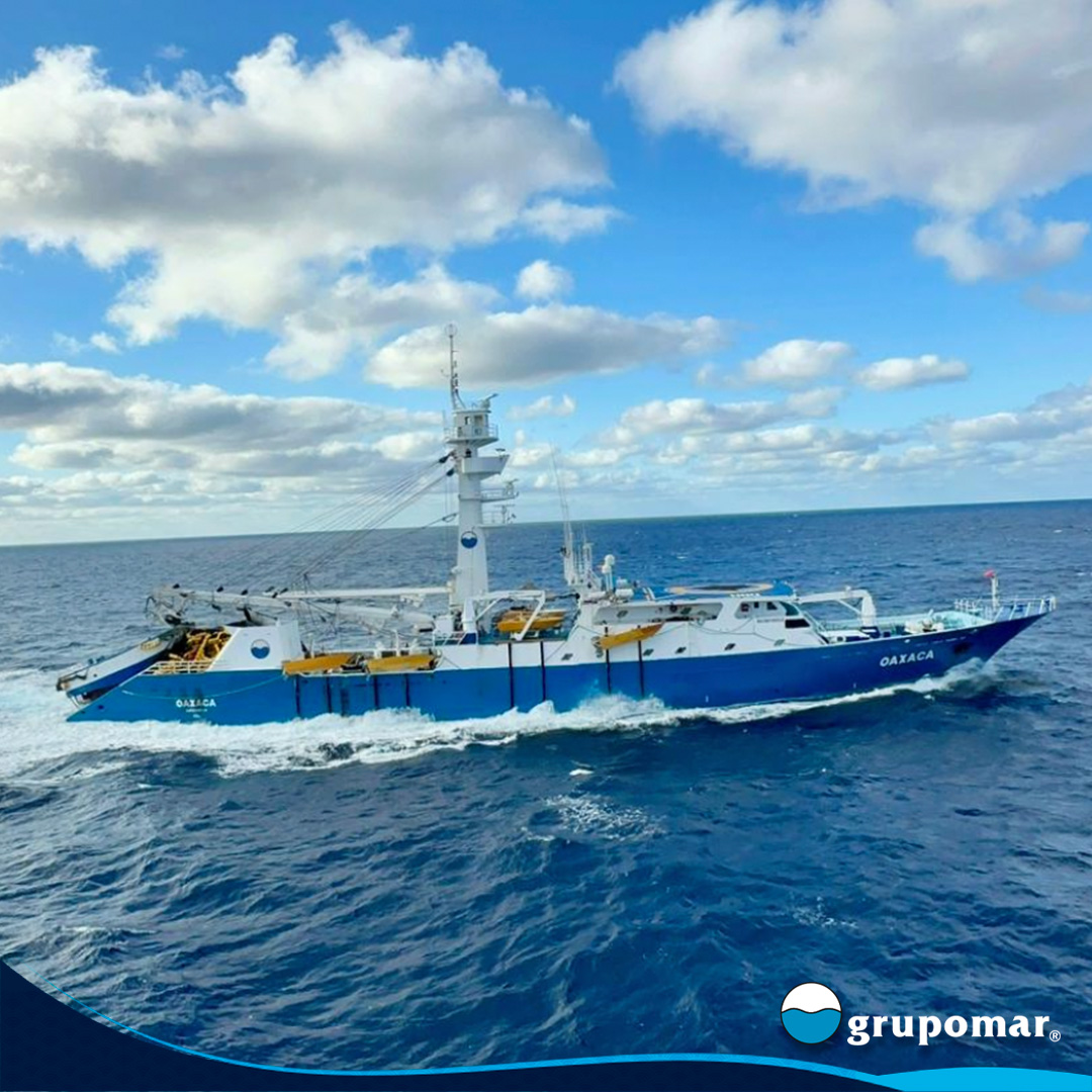 Grupomar® tweet media