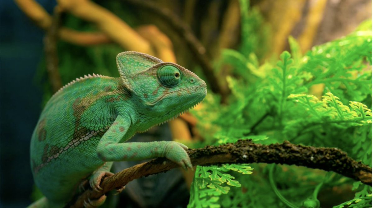 Synaptiq tweet media