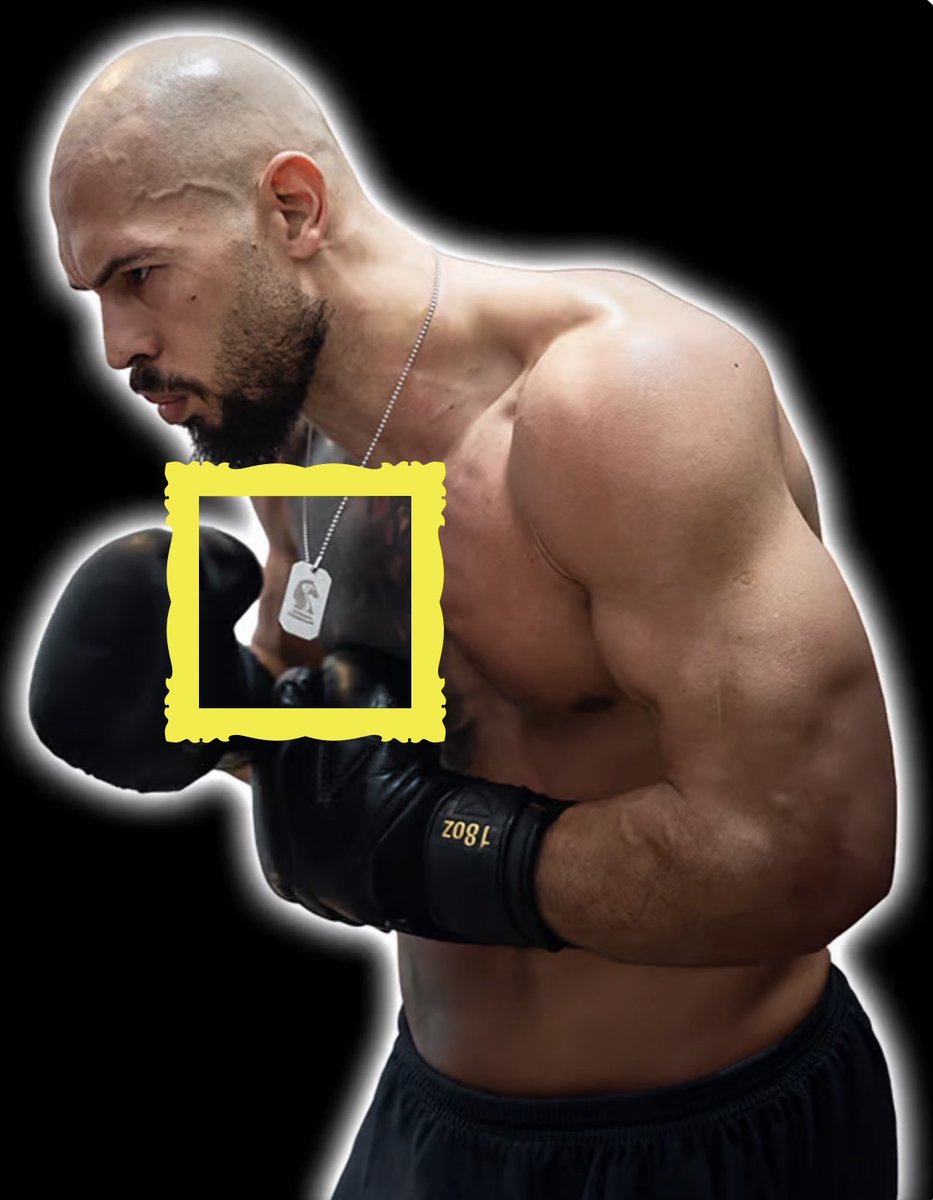 Health & Fitness Campus tweet media