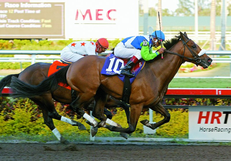 BloodHorse tweet media