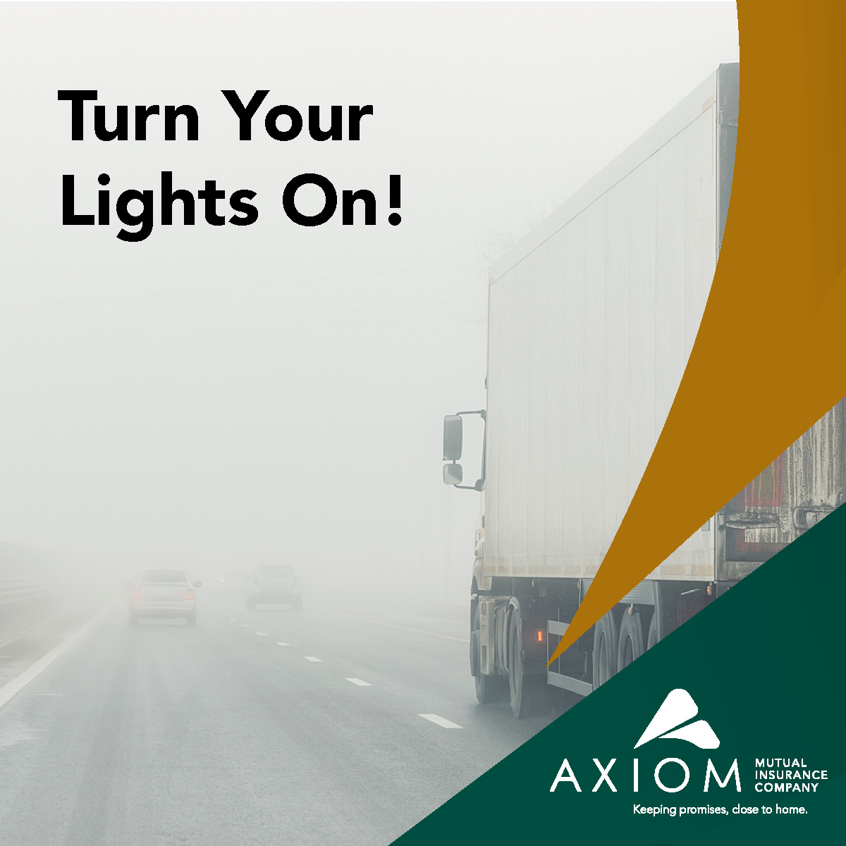 AXIOMMutual tweet media