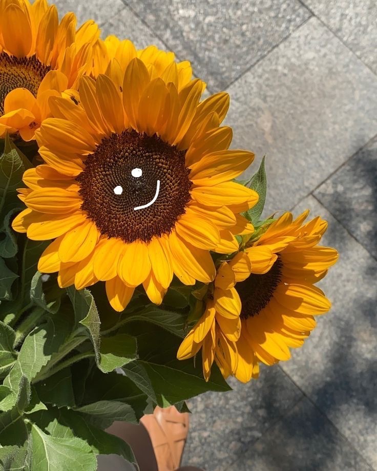 Sunshine is my signature.