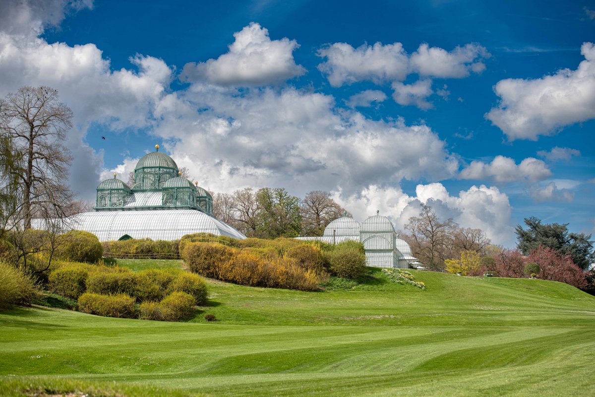 Belgian Royal Palace tweet media