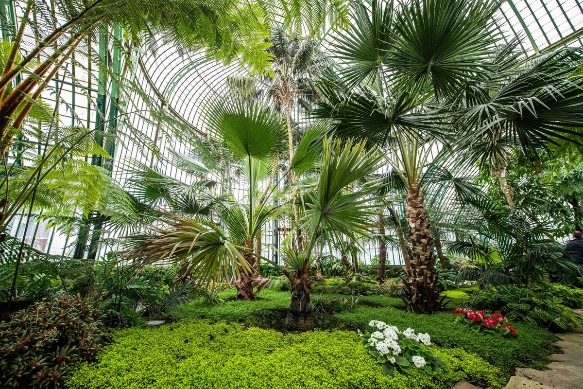 Belgian Royal Palace tweet media