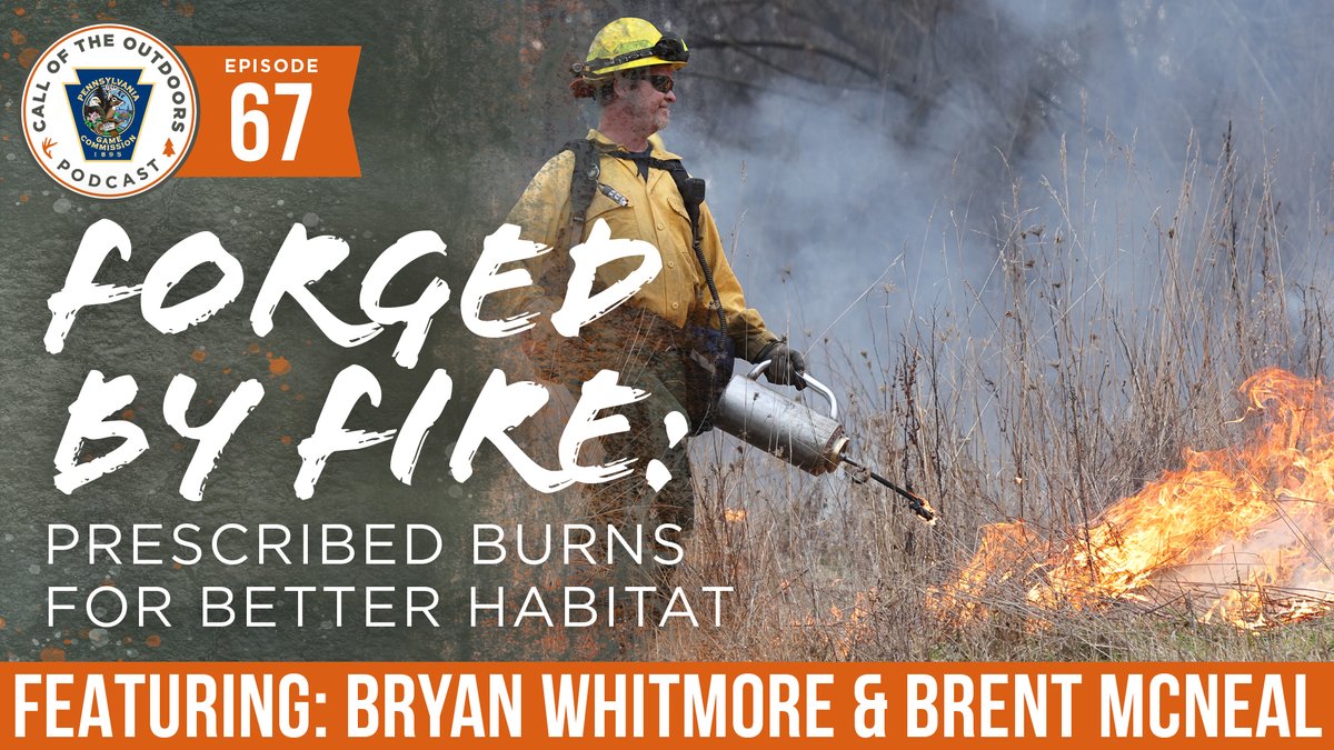 Pennsylvania Game Commission tweet media