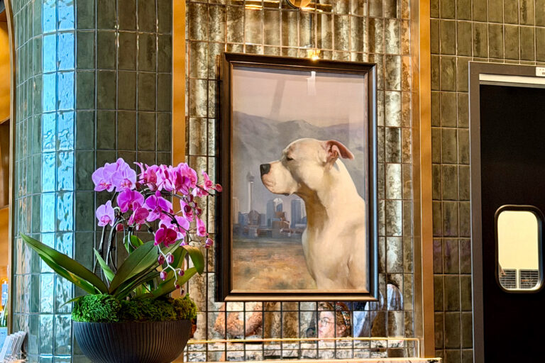 Zach Griff tweet media