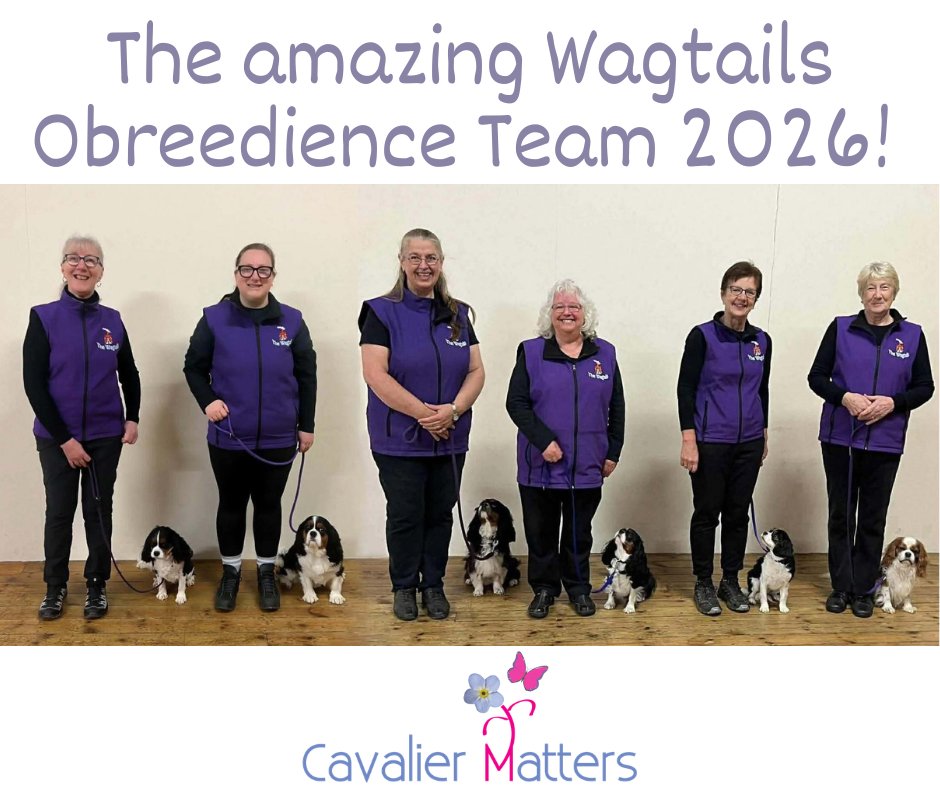 Cavalier Matters tweet media