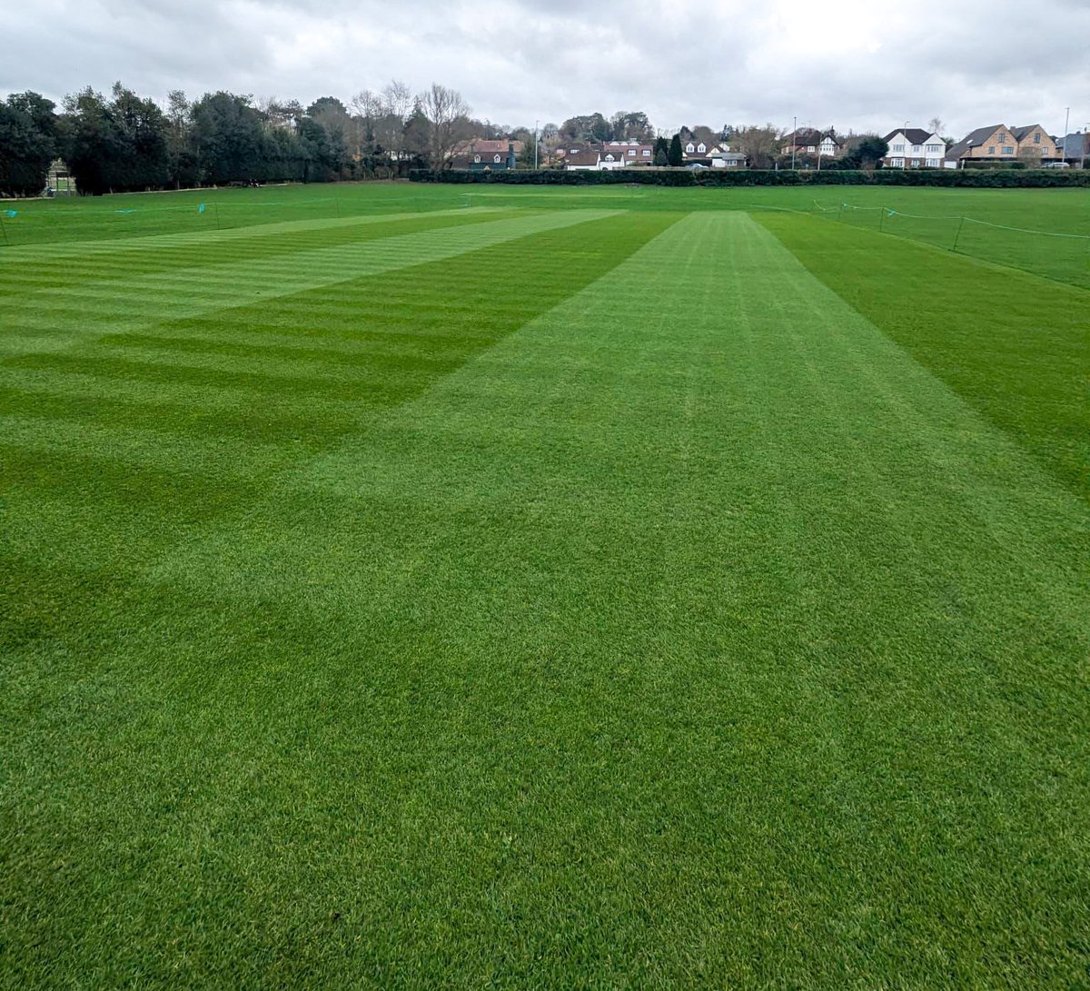 Agrovista Amenity tweet media