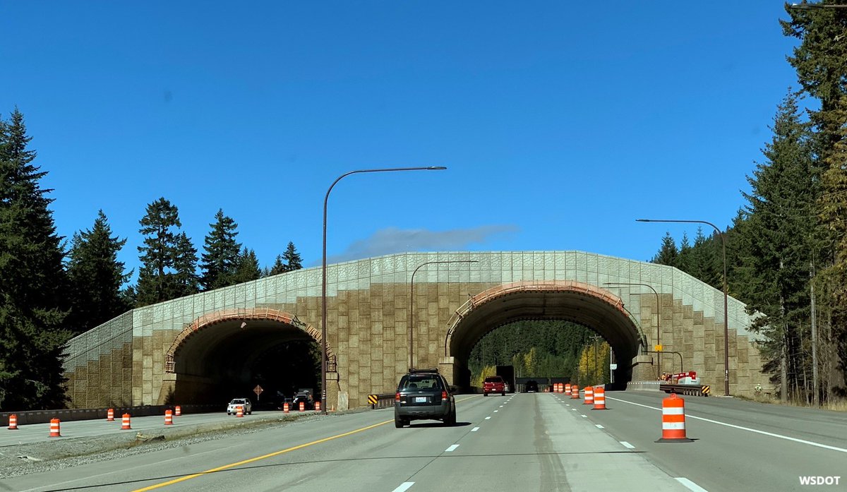 National Wildlife Federation Action Fund tweet media