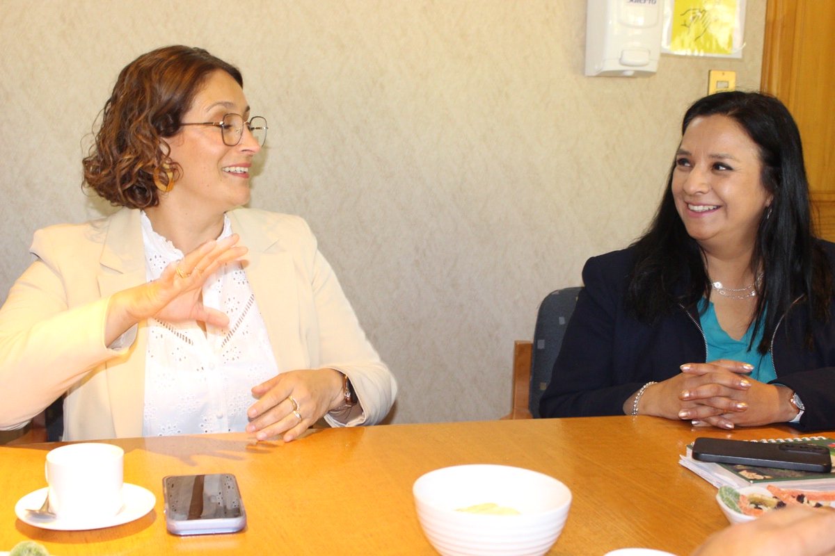 Minagri Biobío tweet media