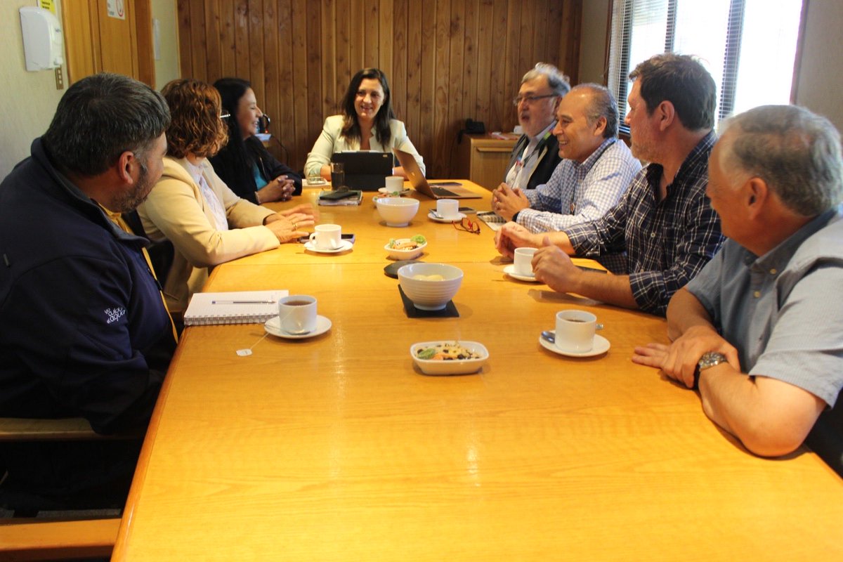 Minagri Biobío tweet media