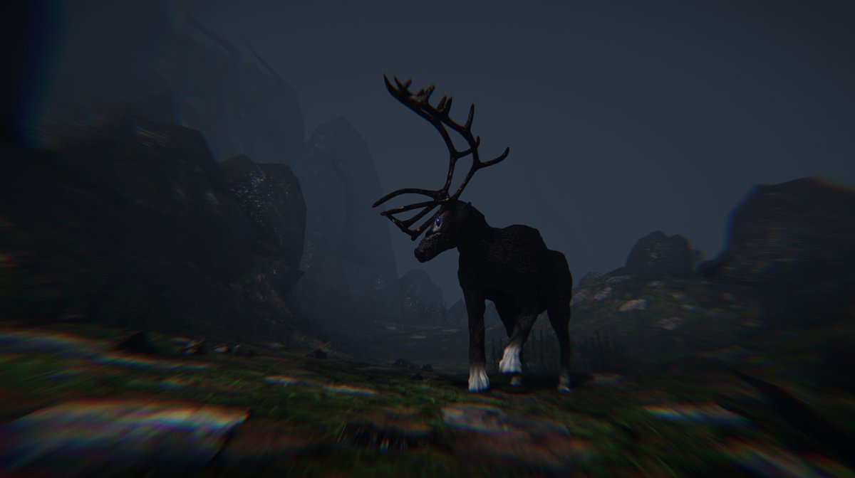 Vidas - Mr. Timore tweet media