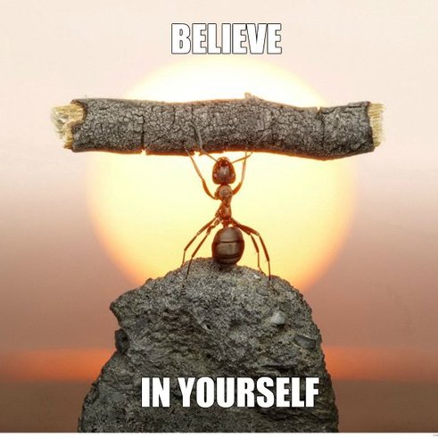 realbobandbrad's tweet image. Progress doesn’t happen overnight, but every healthy choice moves you one step closer to feeling stronger and living pain-free.

Keep going. You’ve got this. 💪

#BelieveInYourself #StayActive #MoveBetter #BobAndBrad