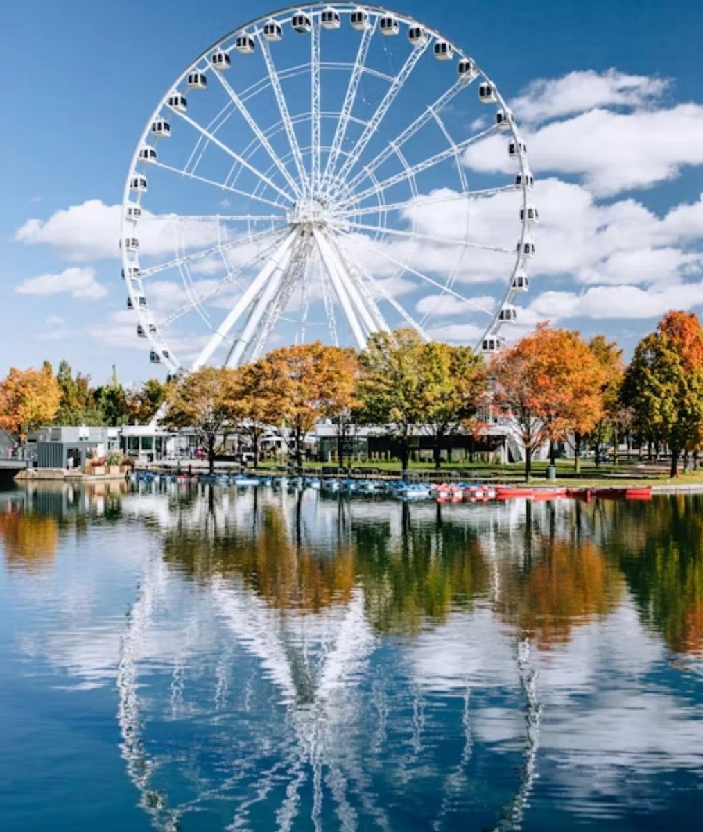 Pavlovian Society tweet media