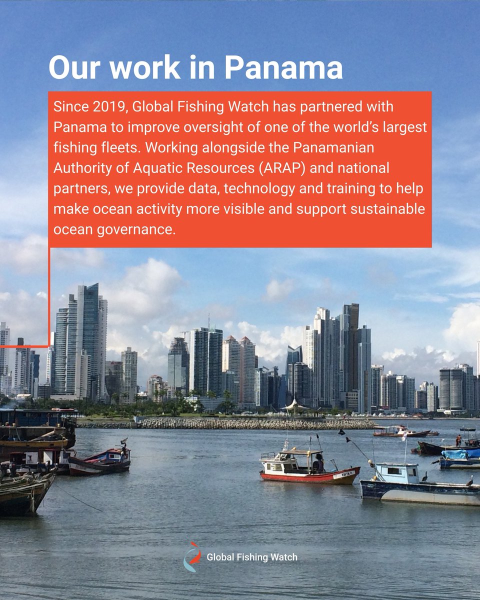 Global Fishing Watch tweet media