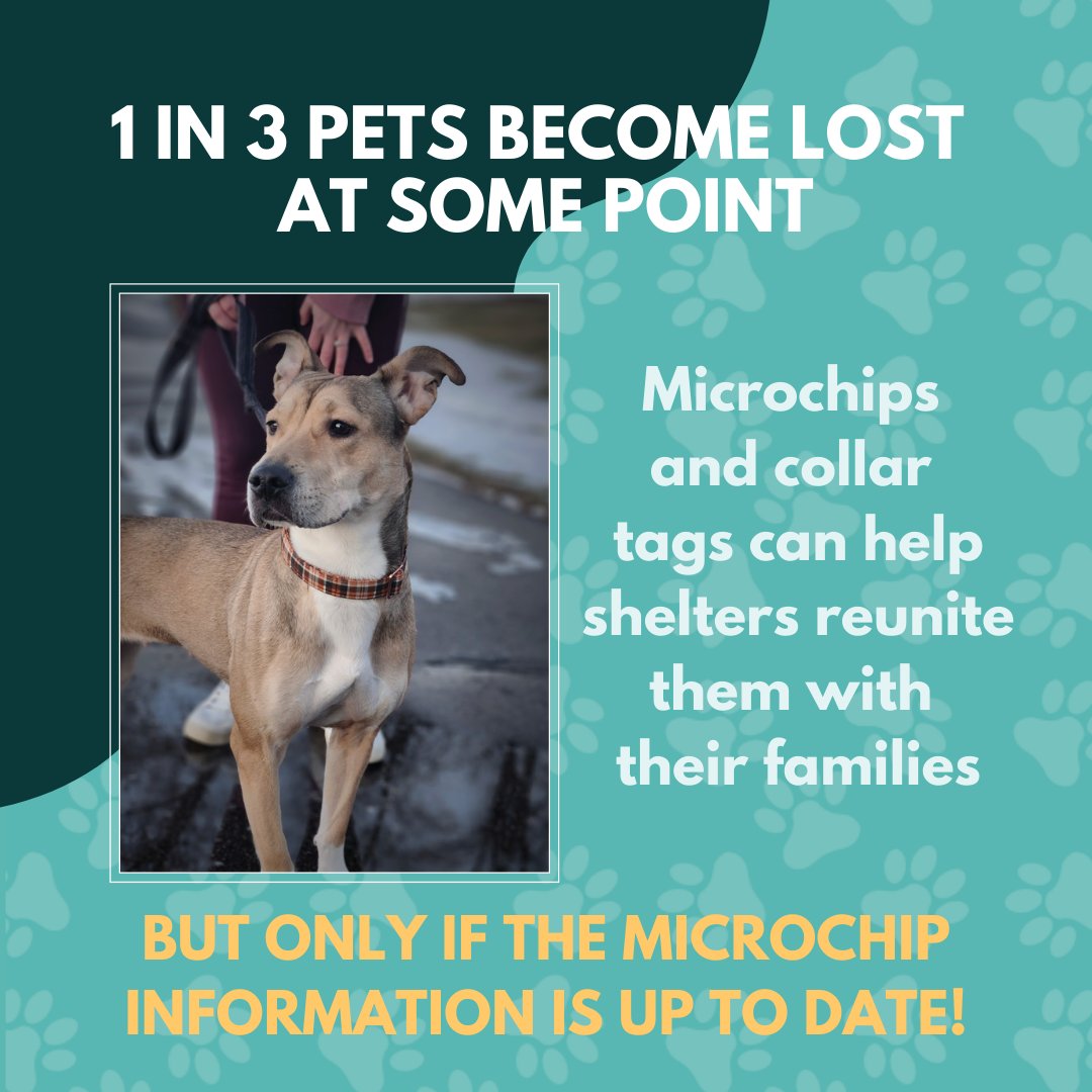 Ruff Start Rescue tweet media