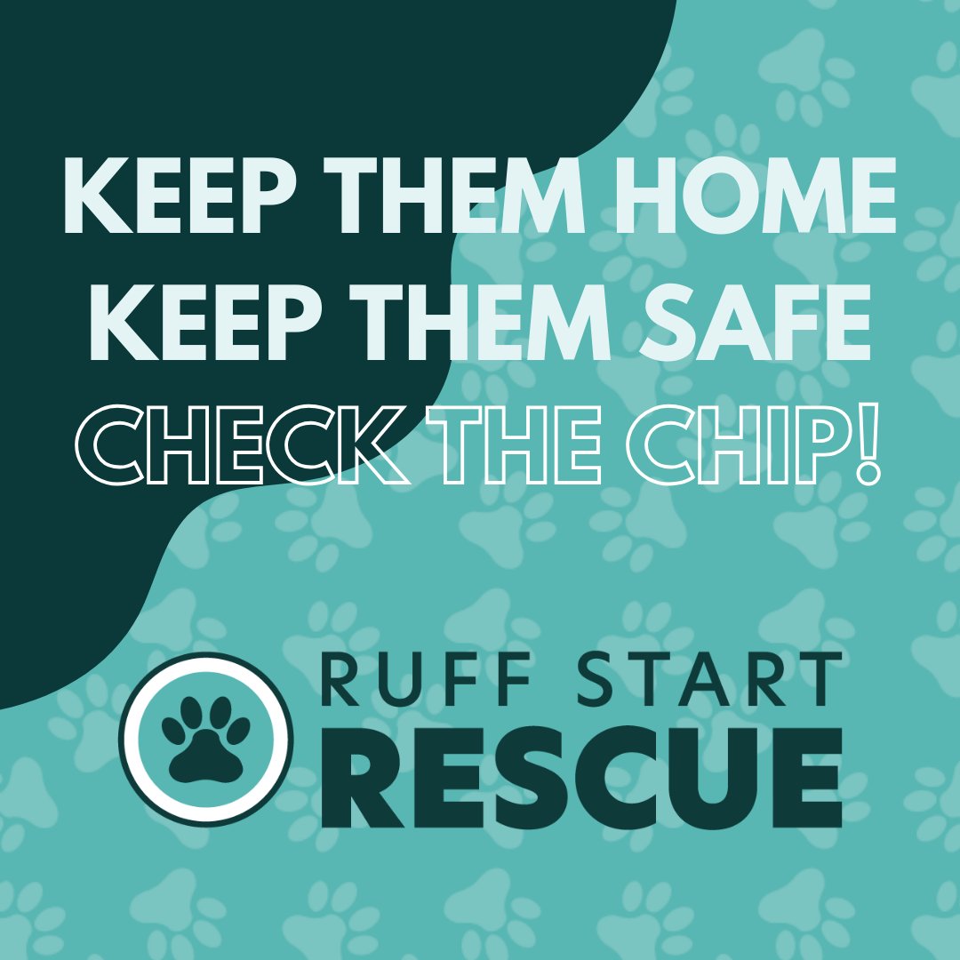 Ruff Start Rescue tweet media
