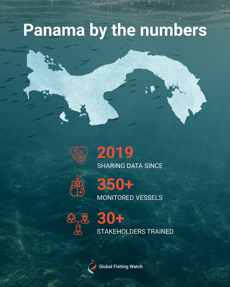 Global Fishing Watch tweet media