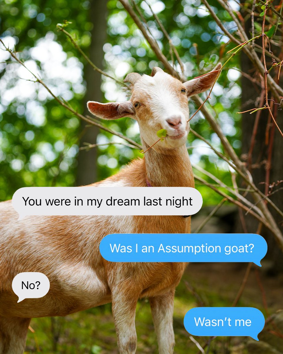 Assumption University tweet media