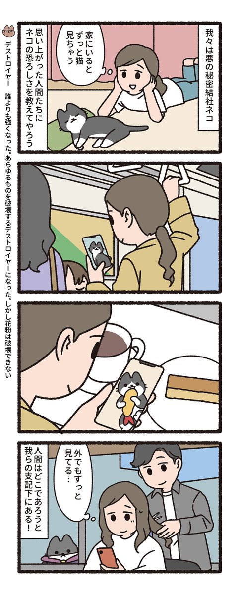 pandania tweet media