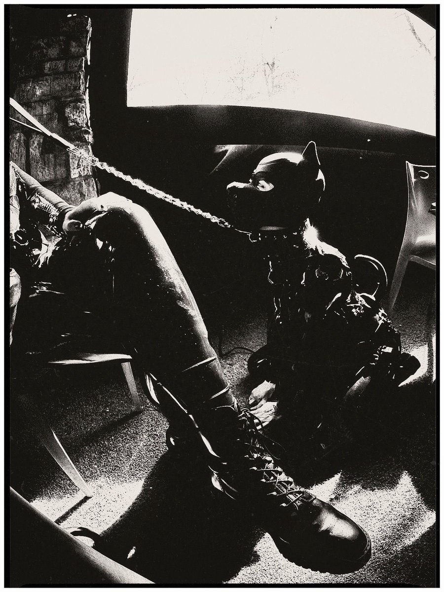 Good sit 🐾

📸: @/soothing.sinners on IG