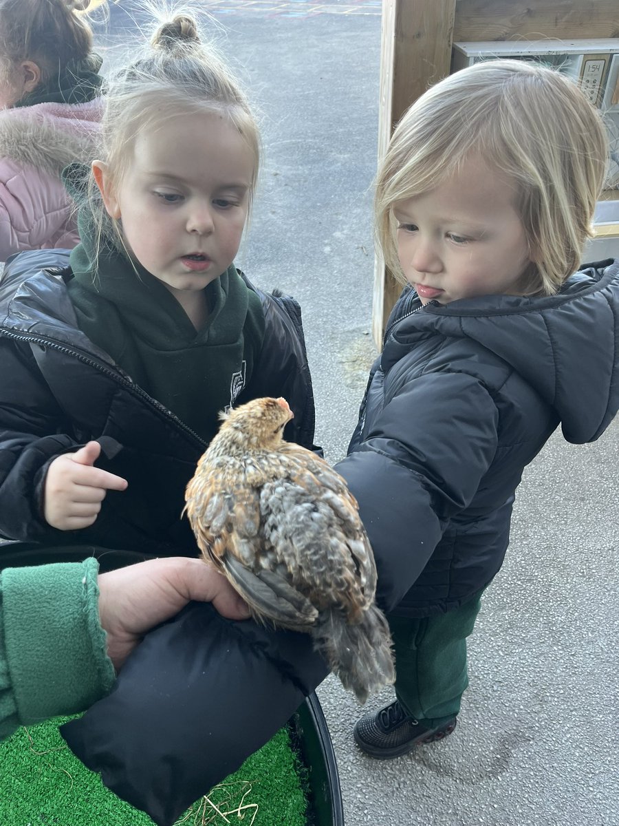 Miss. Miller tweet media