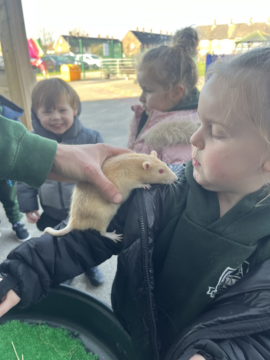 Miss. Miller tweet media