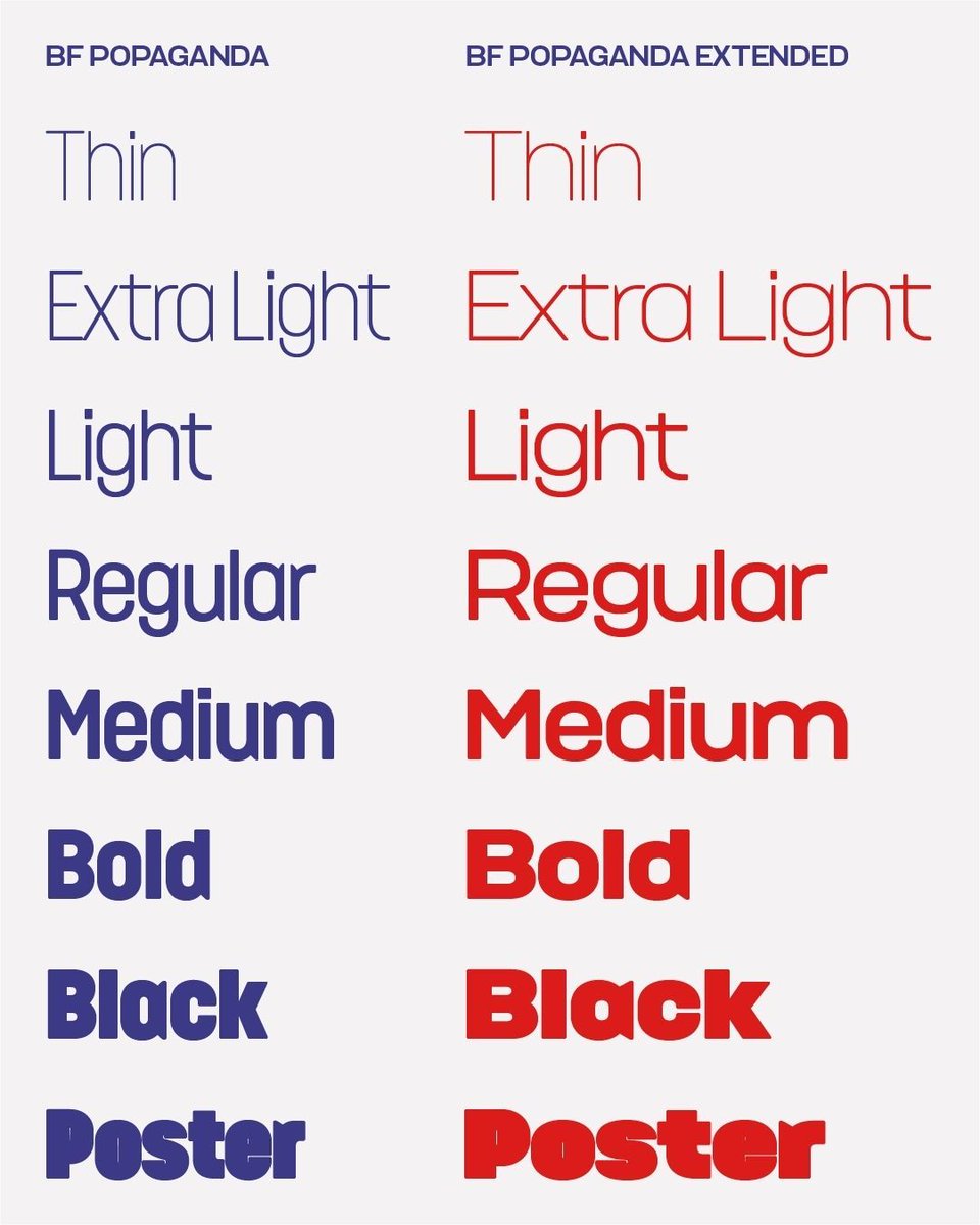 Type Network tweet media