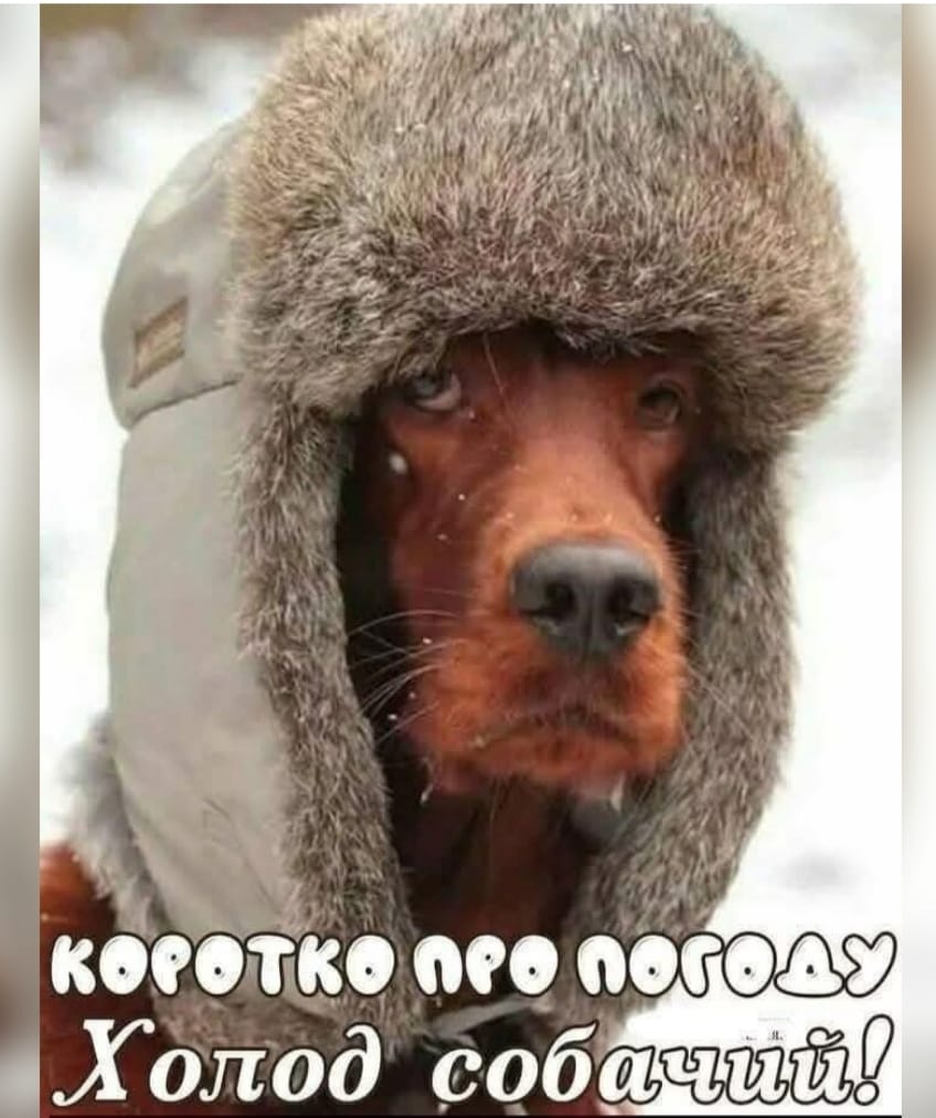garrik05's tweet photo. https://t.co/yR9OkP9SKx