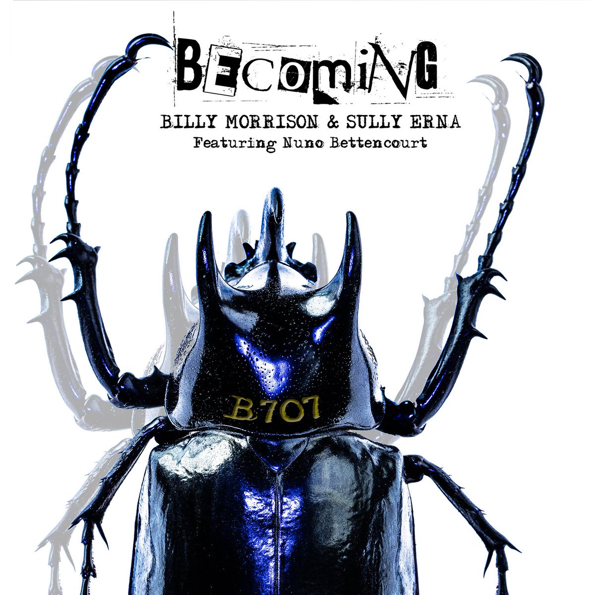 BILLY MORRISON tweet media