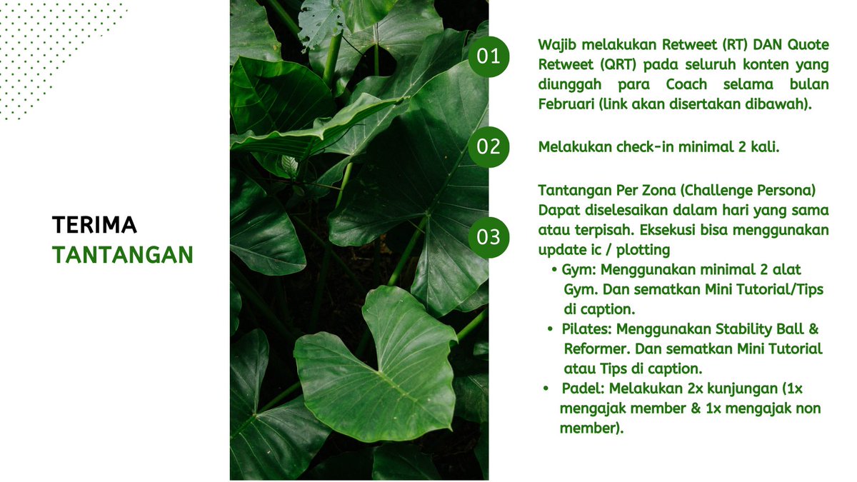 THIS IS RIMBA tweet media