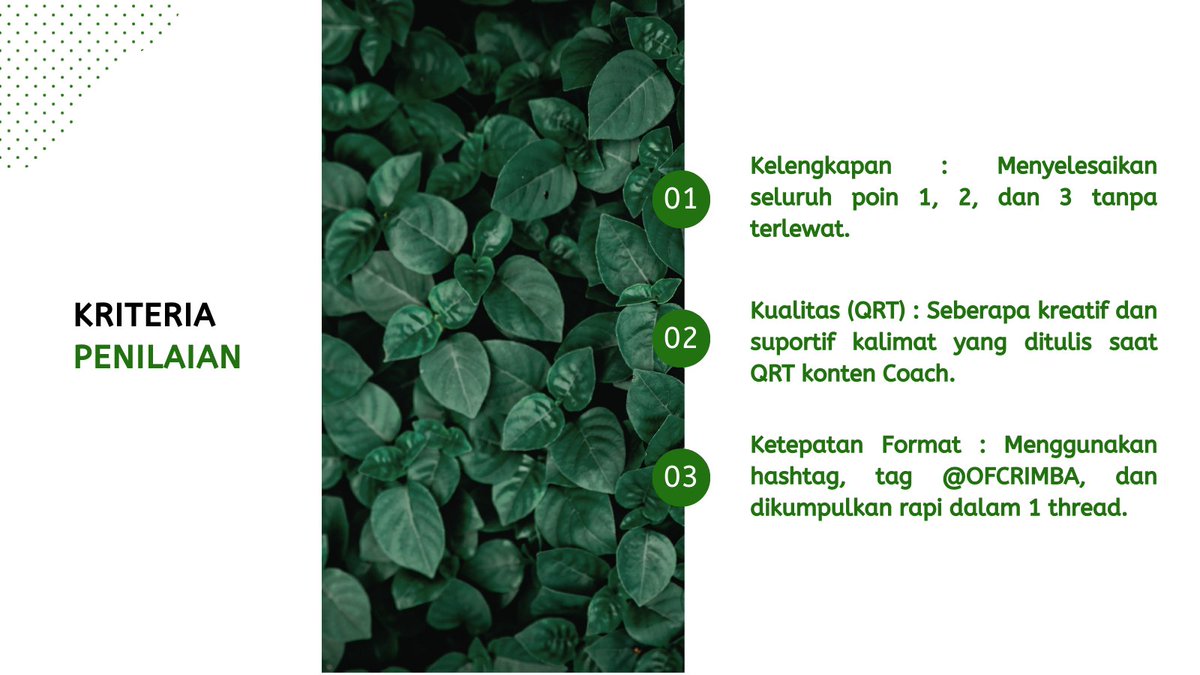 THIS IS RIMBA tweet media