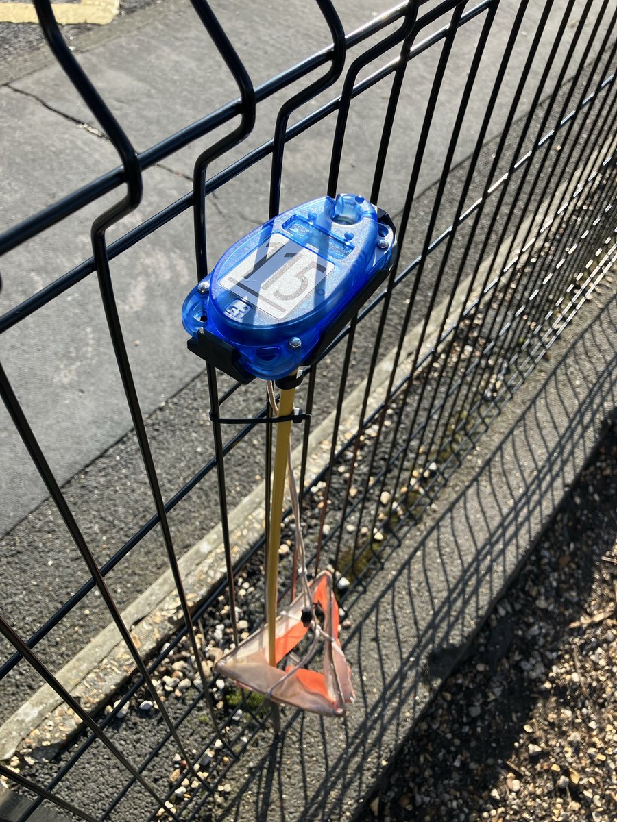 Cross-Curricular Orienteering tweet media