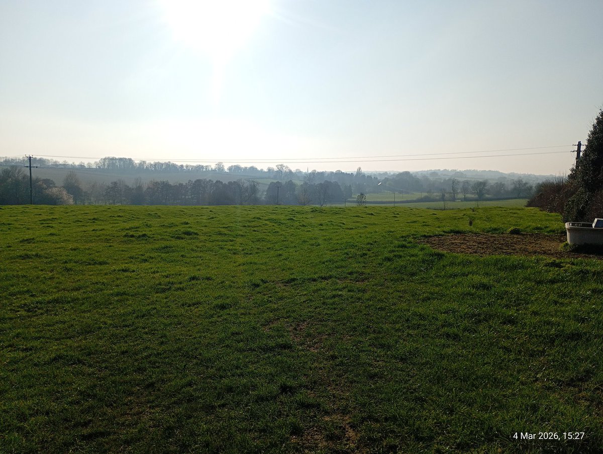 Nigel Marsh tweet media