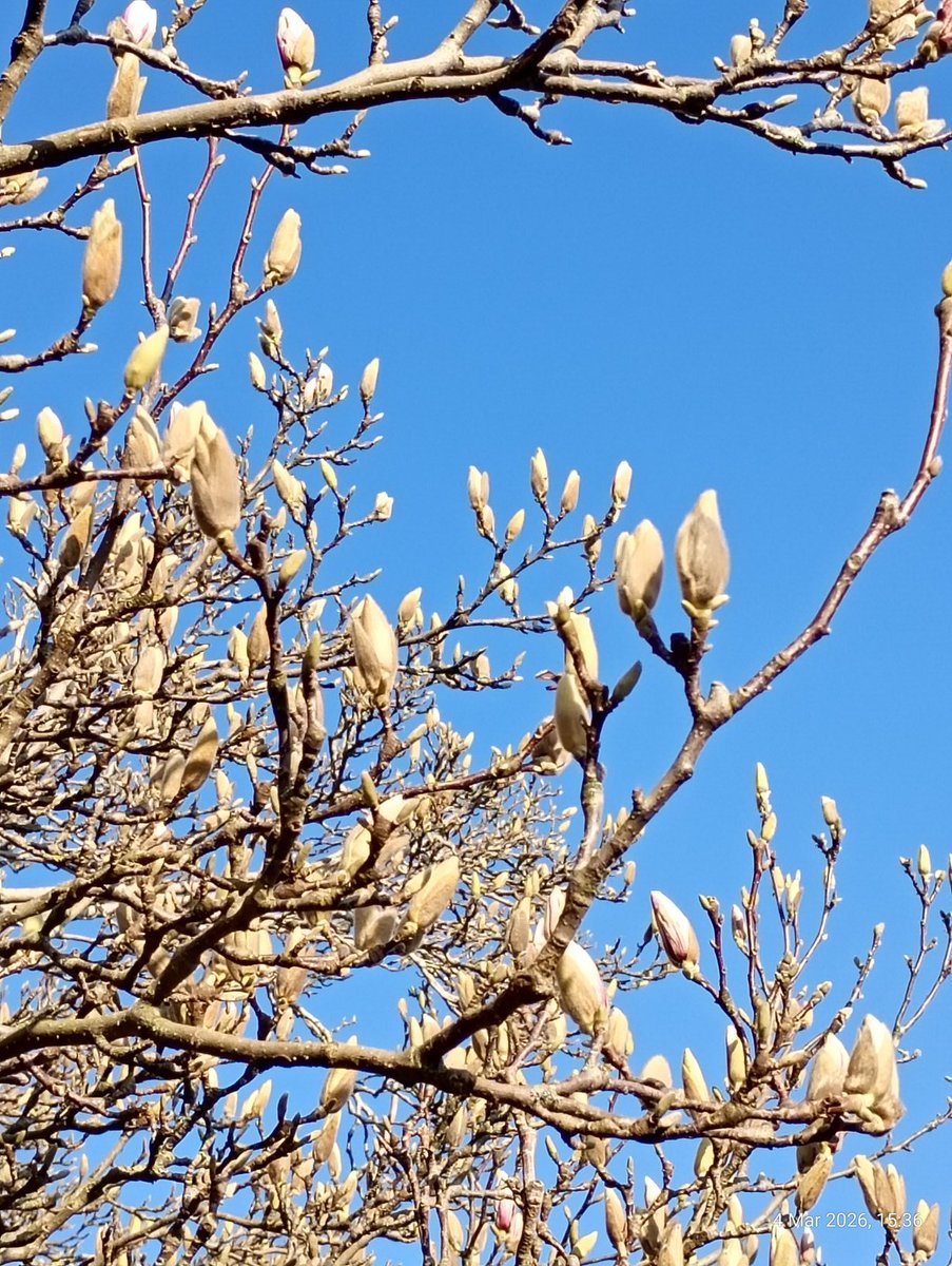 Nigel Marsh tweet media