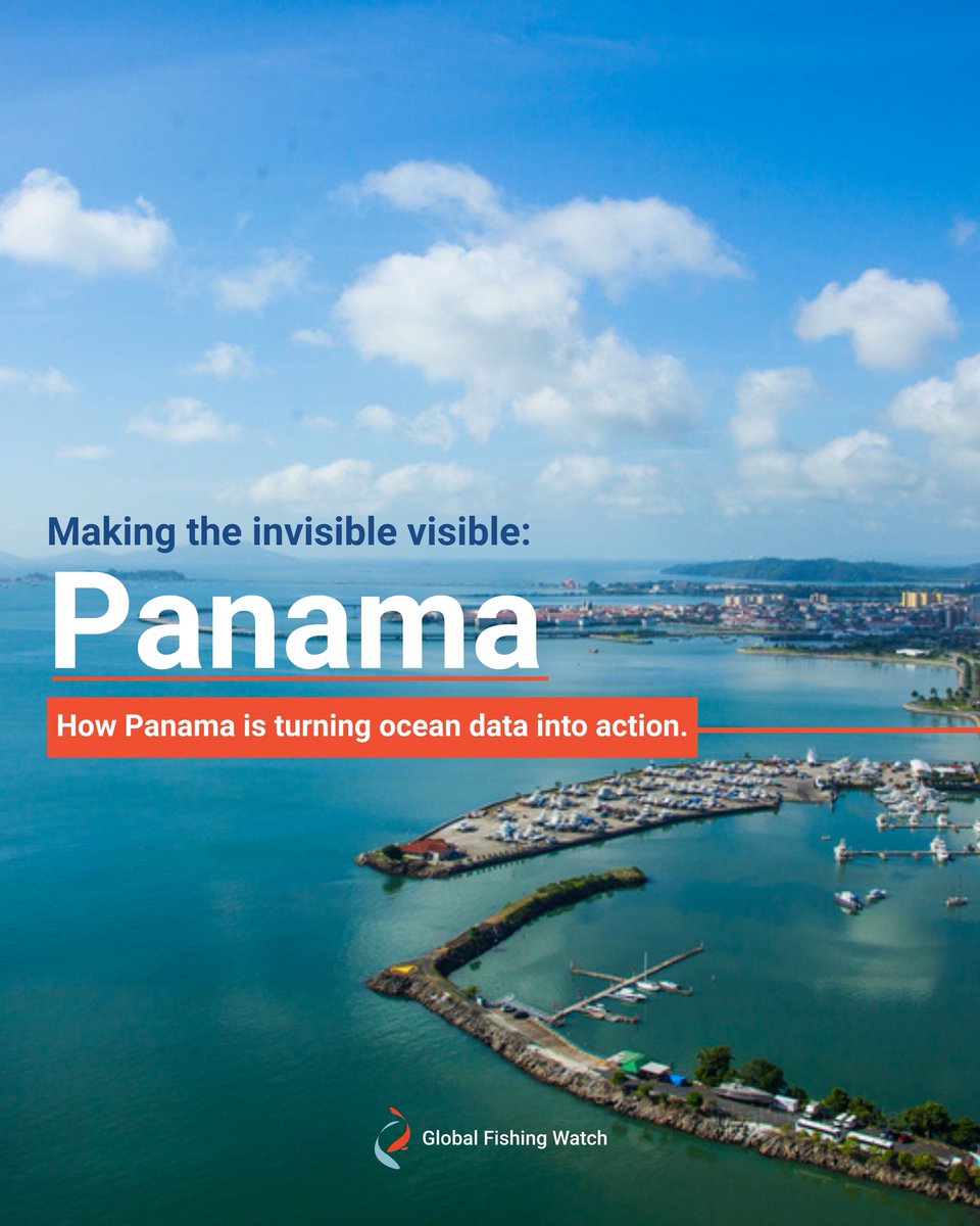 Global Fishing Watch tweet media