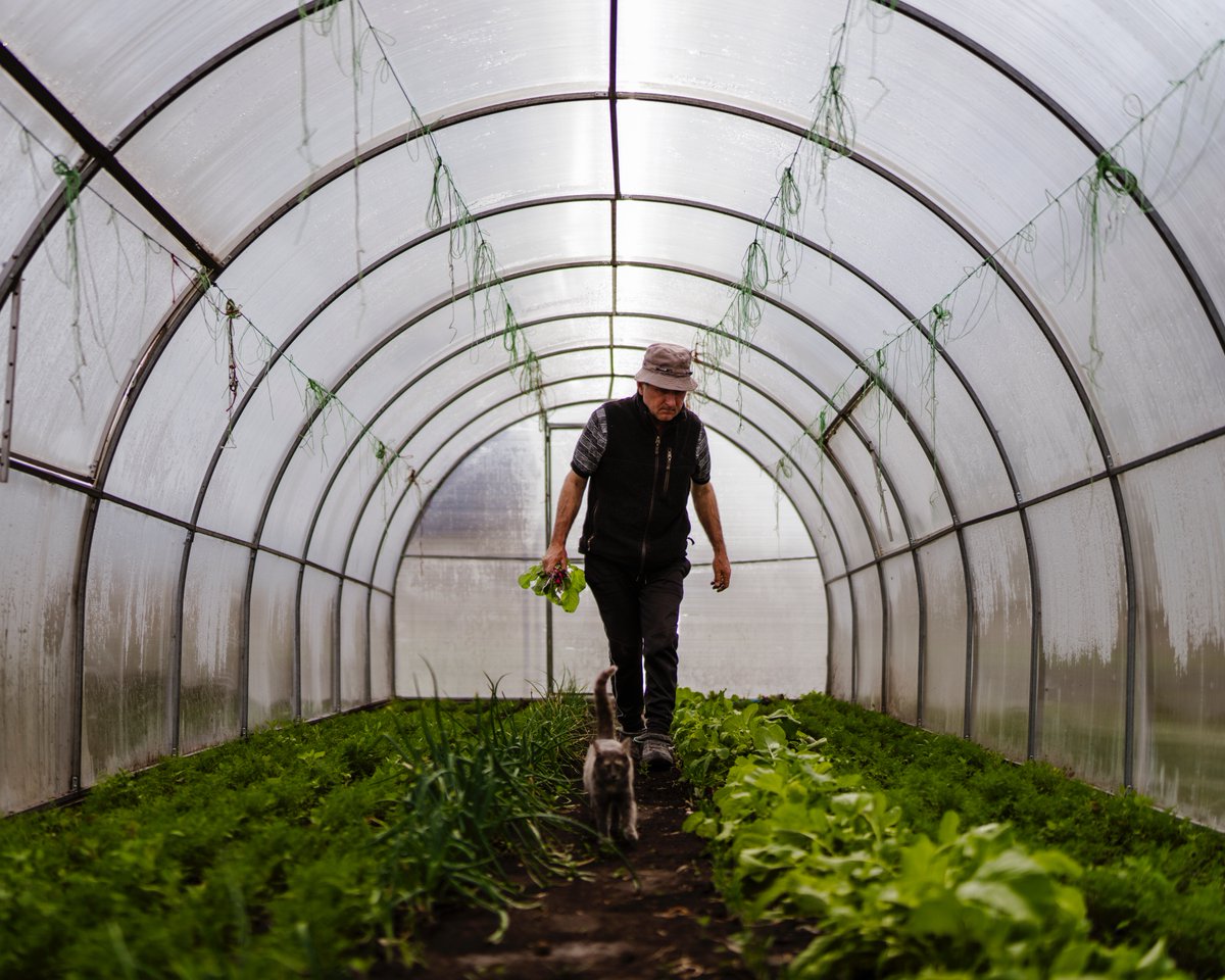 Carl Skau tweet media